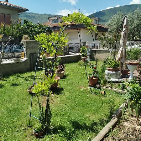 Il Brucaliffo Raiano